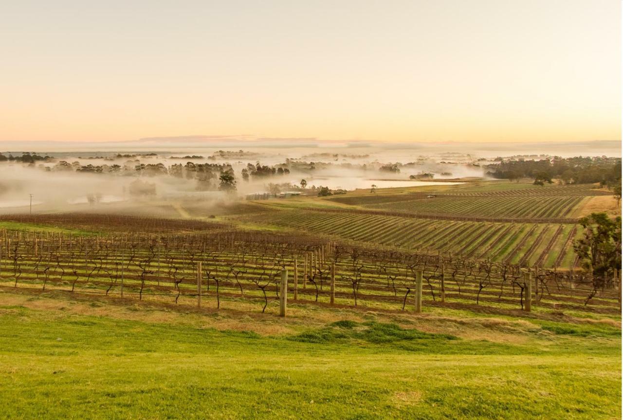 Audrey Wilkinson Vineyard Guest House Поколбин Екстериор снимка